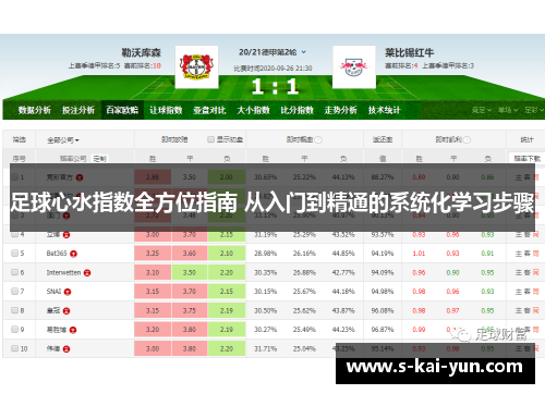 足球心水指数全方位指南 从入门到精通的系统化学习步骤 足球心水指数全方位指南 从入门到精通的系统化学习步骤